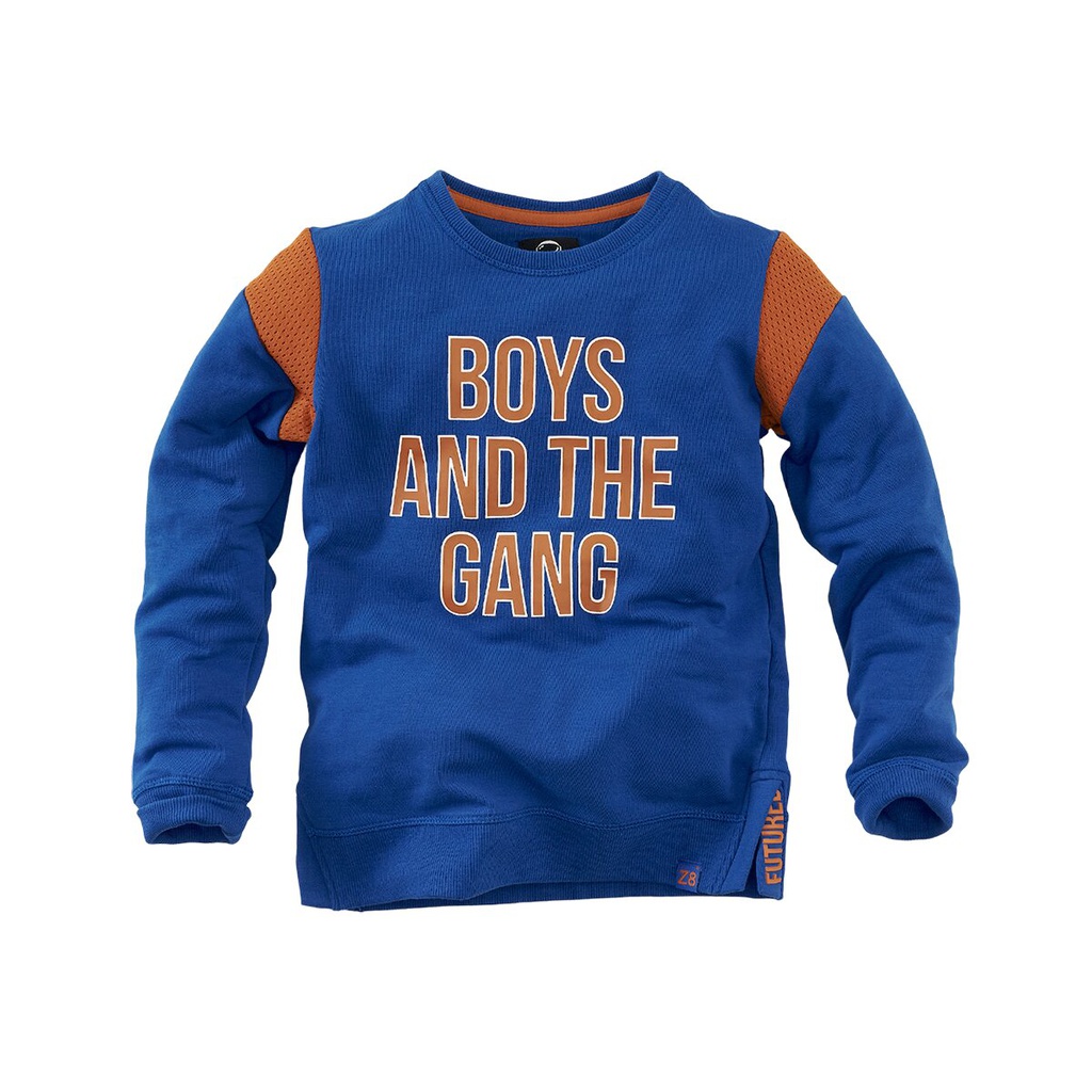 dynastie Grondwet val Z8 Sweater Boys And The Gang | Marie & Louis