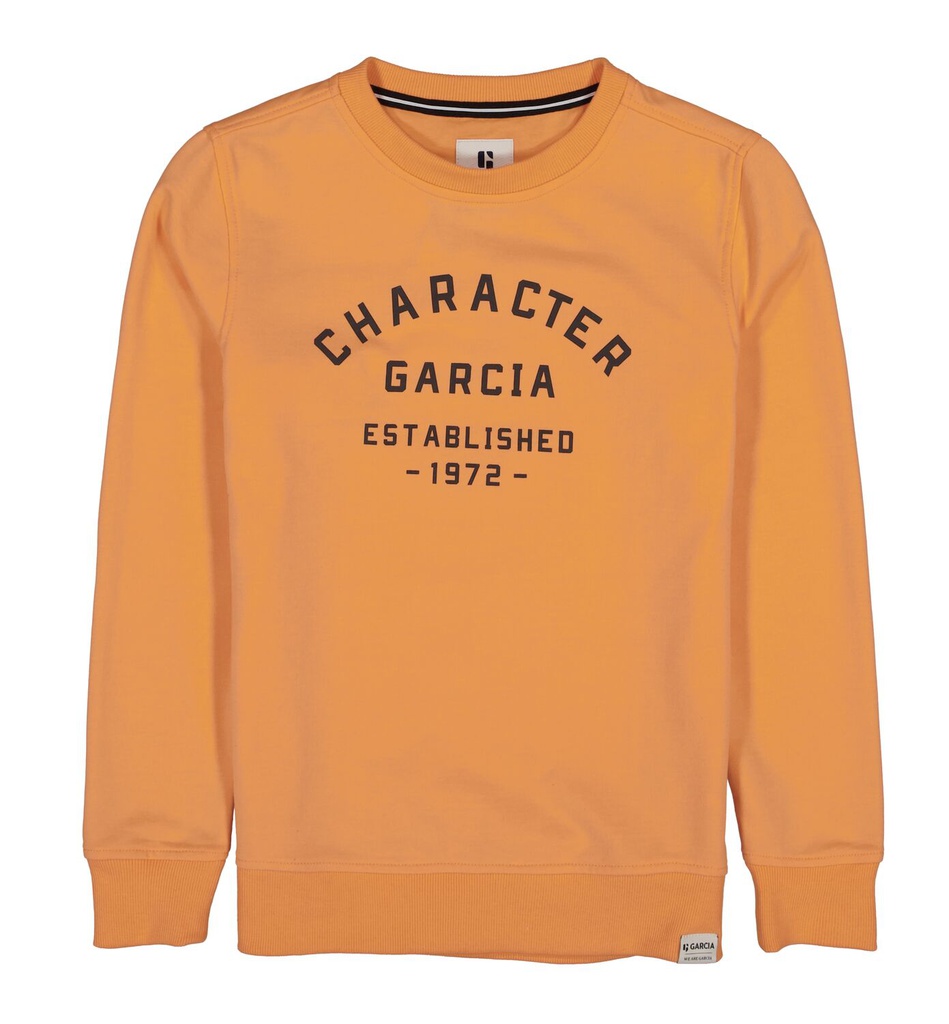 Garcia Sweater Neon
